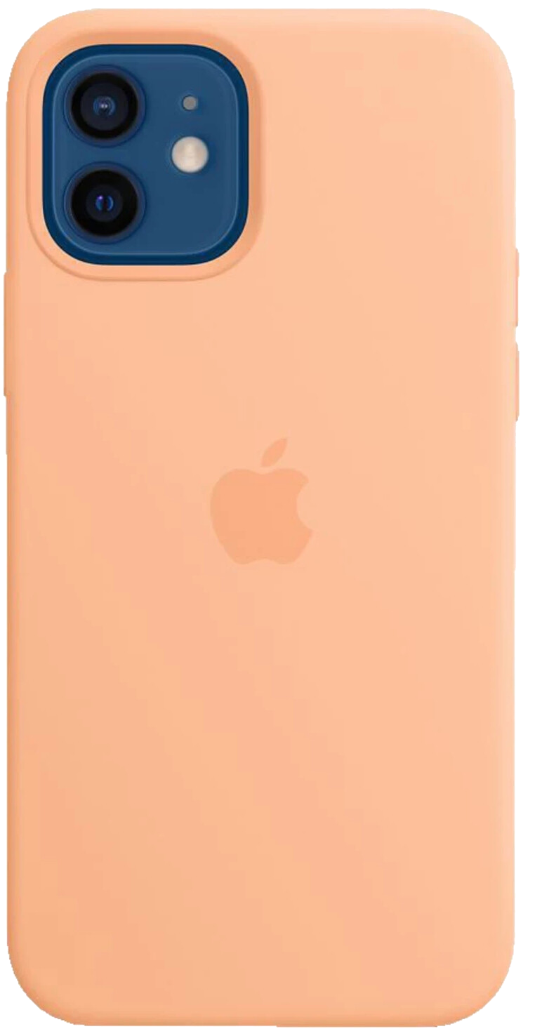 Silikon Case mit MagSafe (iPhone 12/12 Pro)