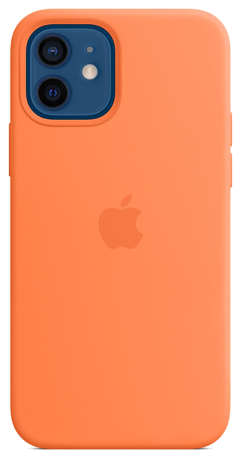 Coque en silicone avec MagSafe (iPhone 12/12 Pro)