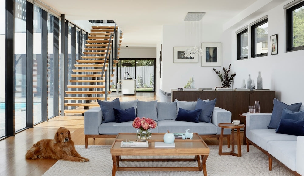 Matter: How the connection standard will revolutionize your smart home