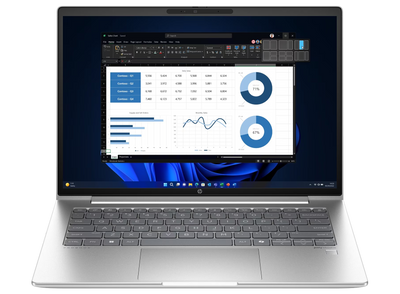 ProBook 445 G11 4G 14