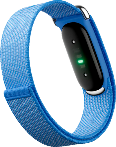 Fitbit Air