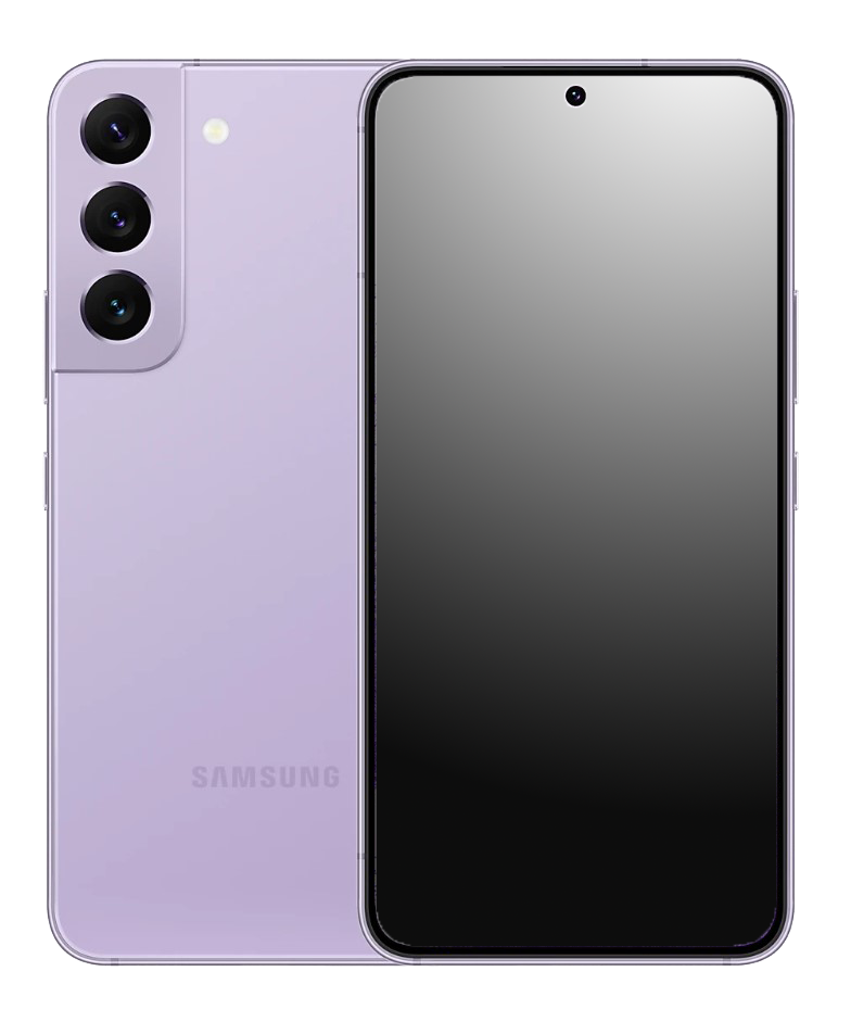 Bora Purple