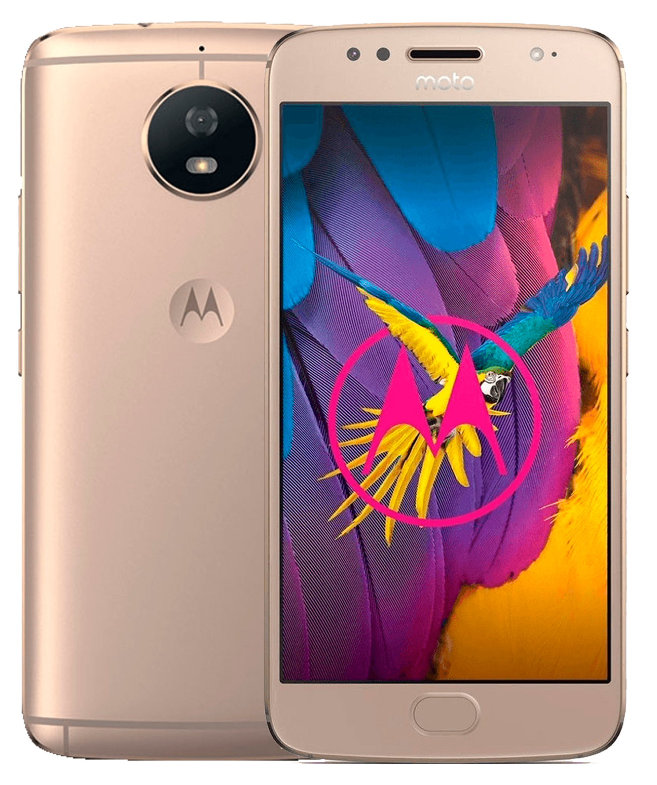 Motorola Moto G5S gold - Ohne Vertrag