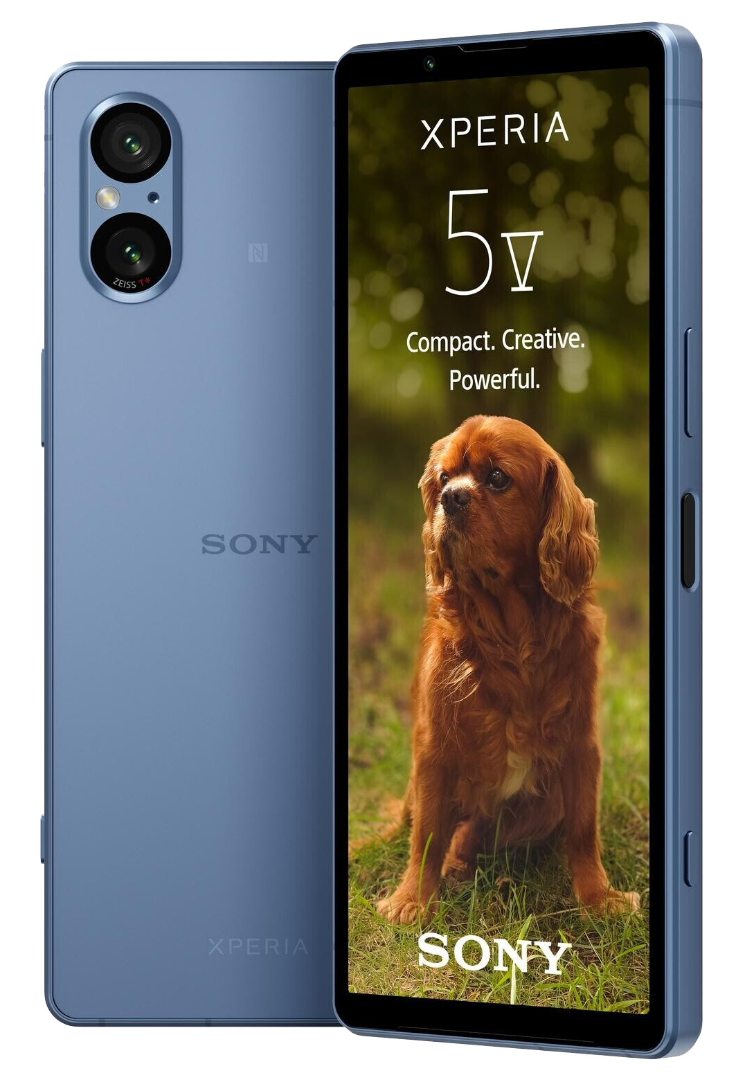 Sony Xperia 5 V 5G Dual SIM blau - Ohne Vertrag