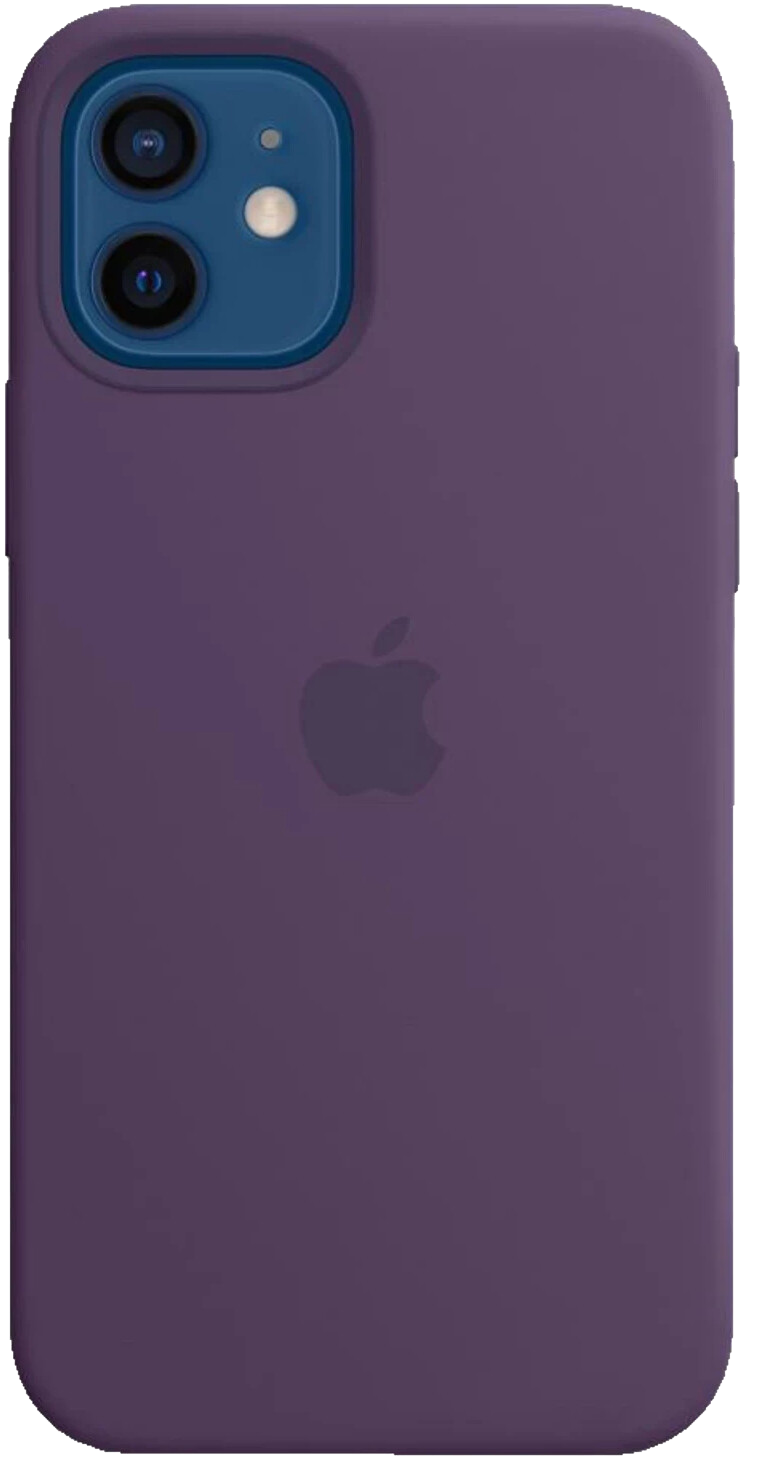 Silikon Case mit MagSafe (iPhone 12/12 Pro)